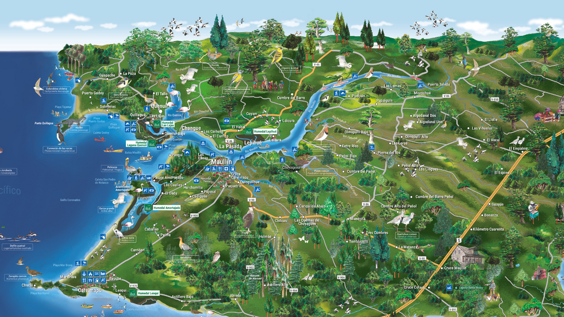 Mes del Patrimonio | Santuario de la Naturaleza Humedales del Río Maullín