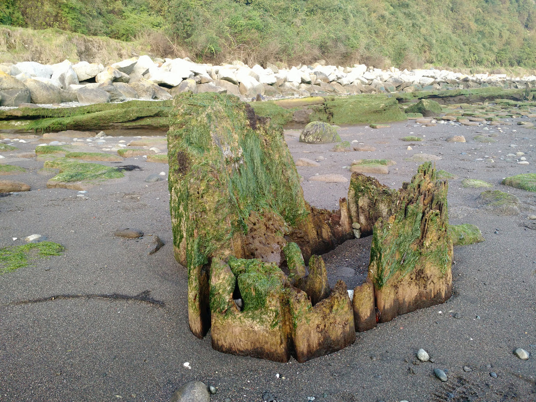 Fotografía, gentileza dirección de turismo de Puerto Montt