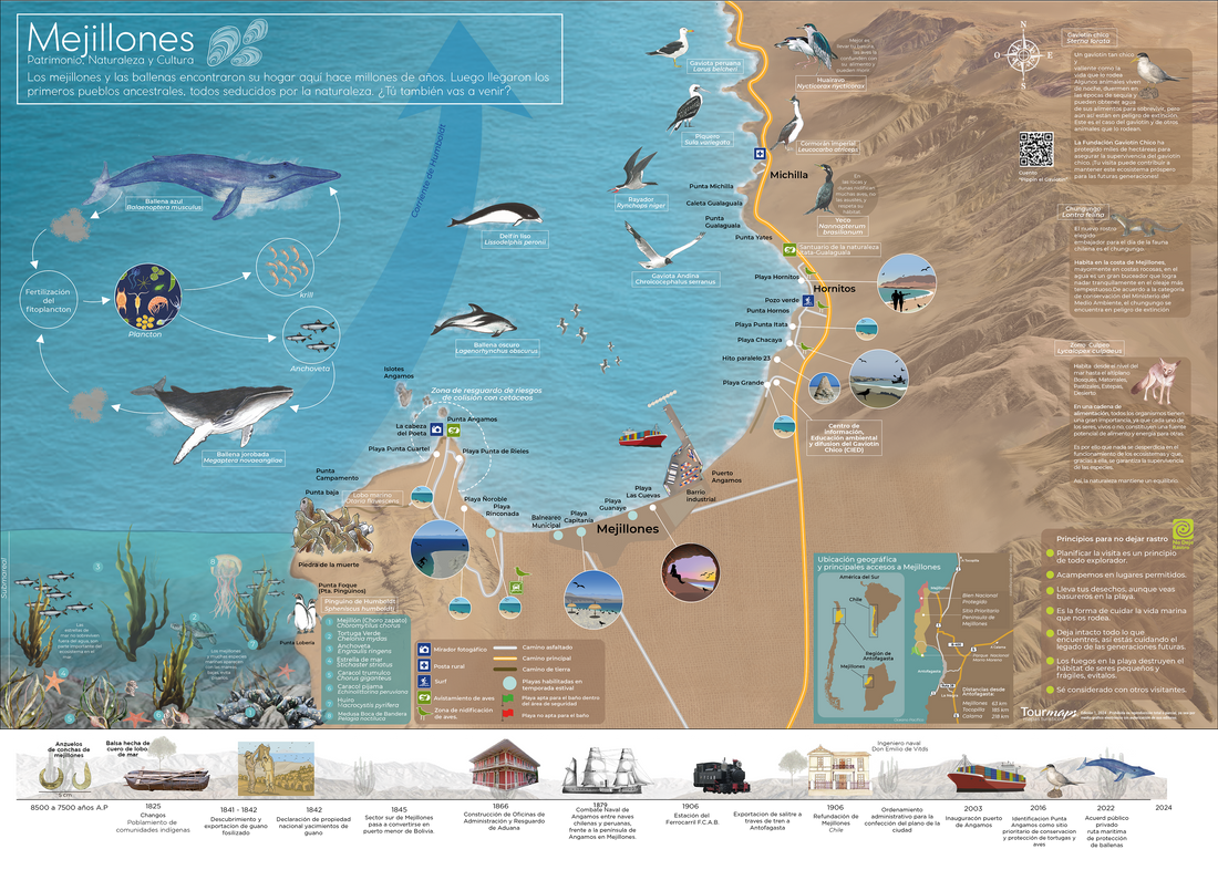 Mapa ilustrado  interpretativo de Mejillones, un trabajo a la medida para un hermoso territorio que hay que cuidar.