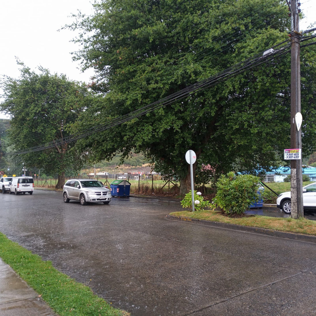 El lenguaje inteligente de la naturaleza y los arboretum de robles.