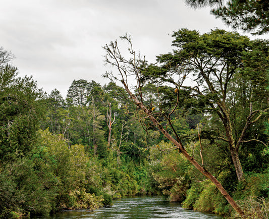 Así nace un destino con alma: Patagonia Costa y su camino colaborativo