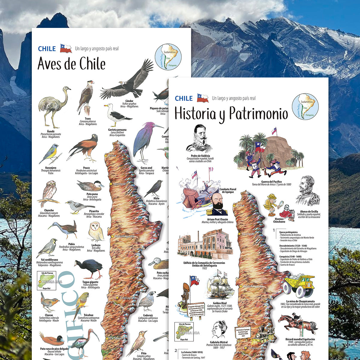 2 MAPAS ILUSTRADOS - COLECCIÓN CHUCAO