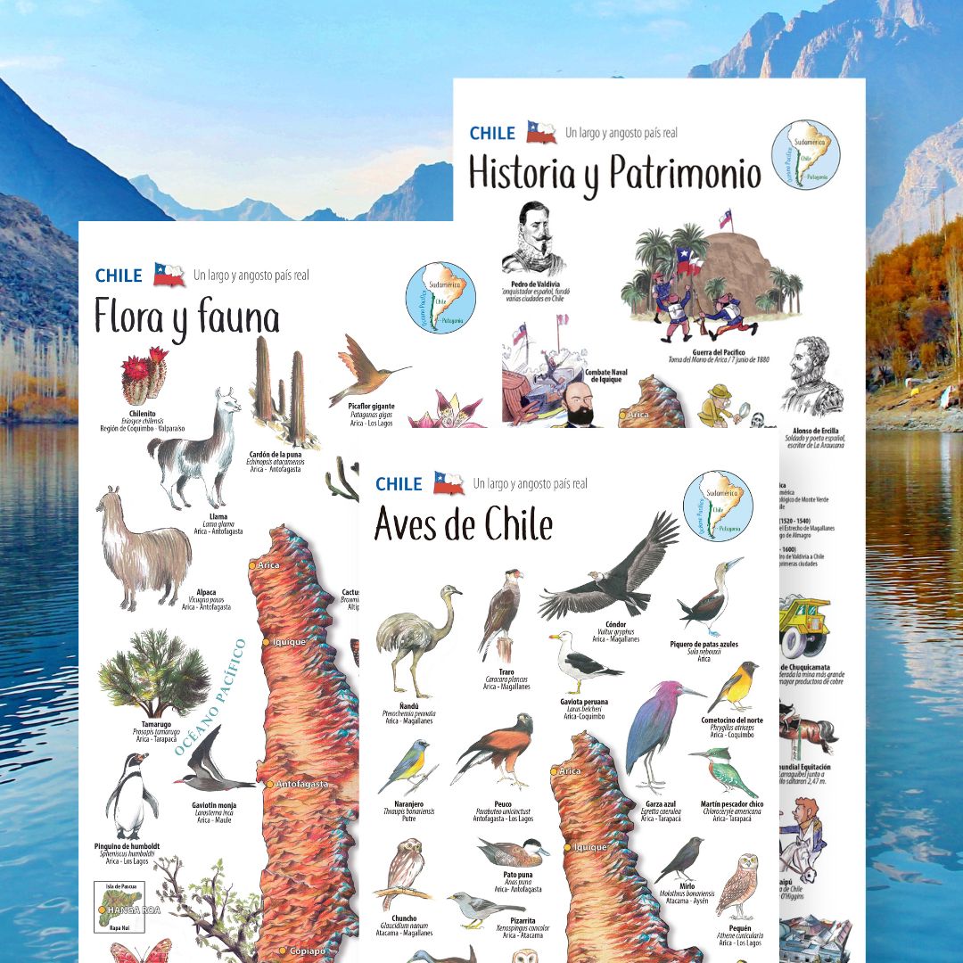 3 MAPAS ILUSTRADOS - COLECCIÓN PATAGONIA