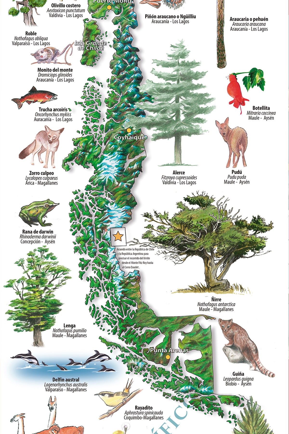 FLORA Y FAUNA - MAPA DESPLEGABLE