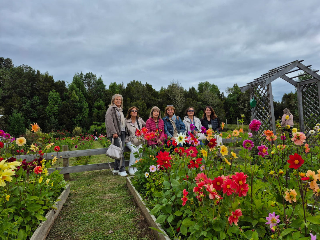 Viveros como destinos: una oportunidad estratégica para el turismo sostenible