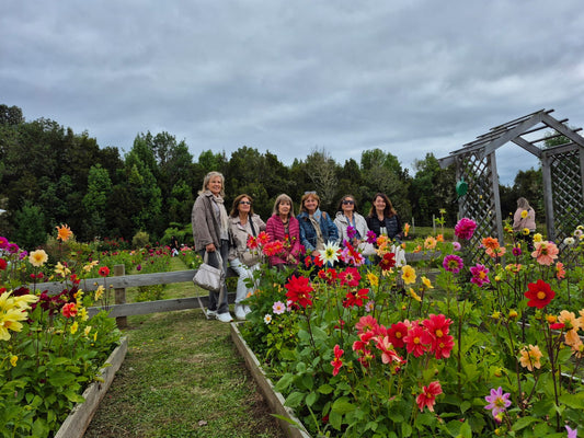 Viveros como destinos: una oportunidad estratégica para el turismo sostenible