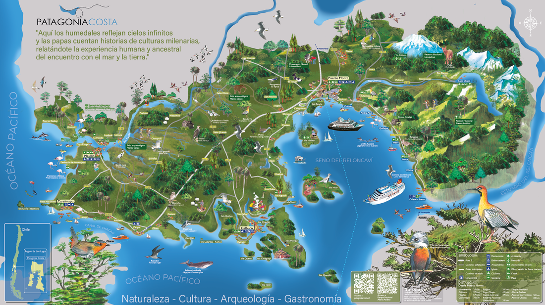 Destino Patagonia Costa. Programa Territorial Integrado.PTI Desarrollo del Destino Turístico Patagonia Costa