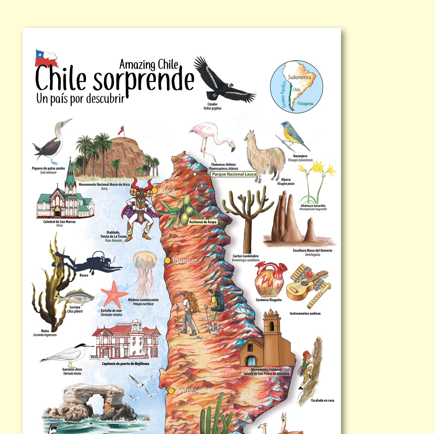 CHILE SORPRENDE - MAPA DESPLEGABLE