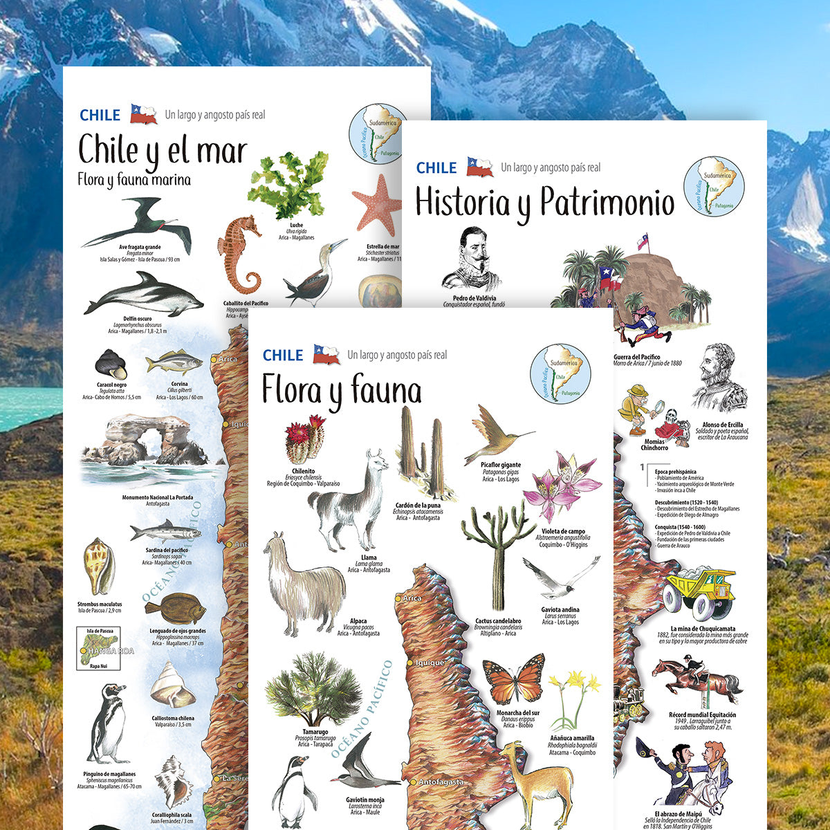 3 ILLUSTRATED MAPS - PATAGONIA COLLECTION