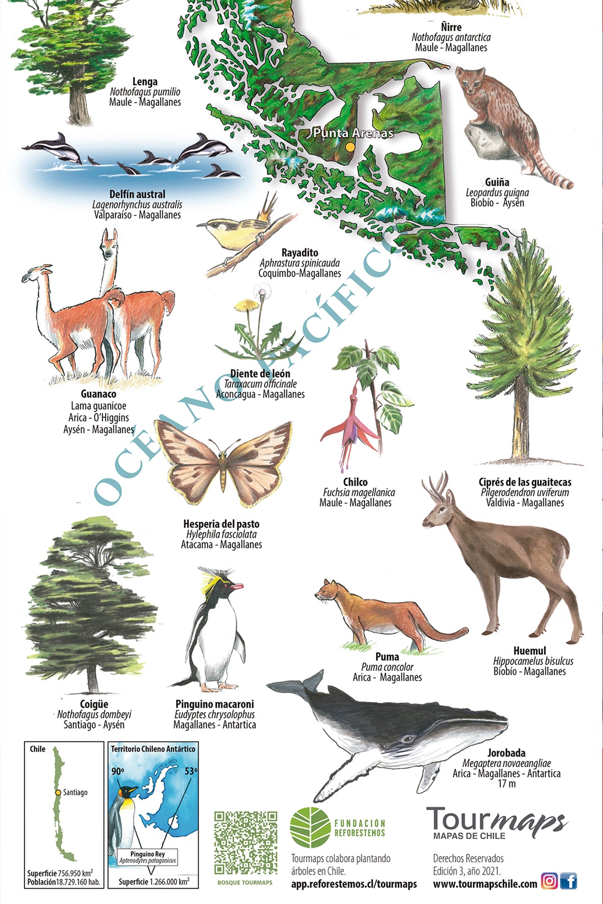 FLORA Y FAUNA - MAPA DESPLEGABLE