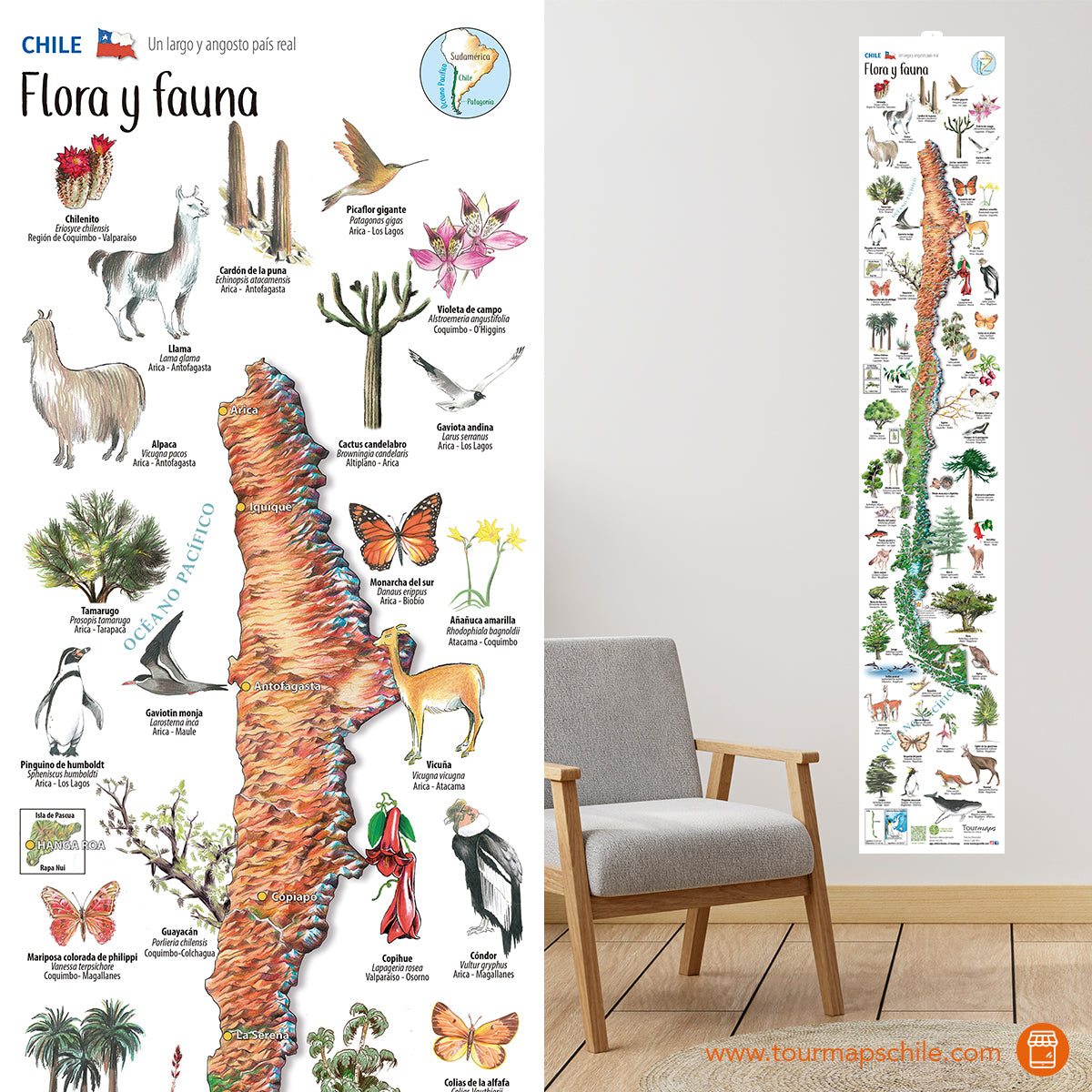 FLORA Y FAUNA - MAPA DESPLEGABLE