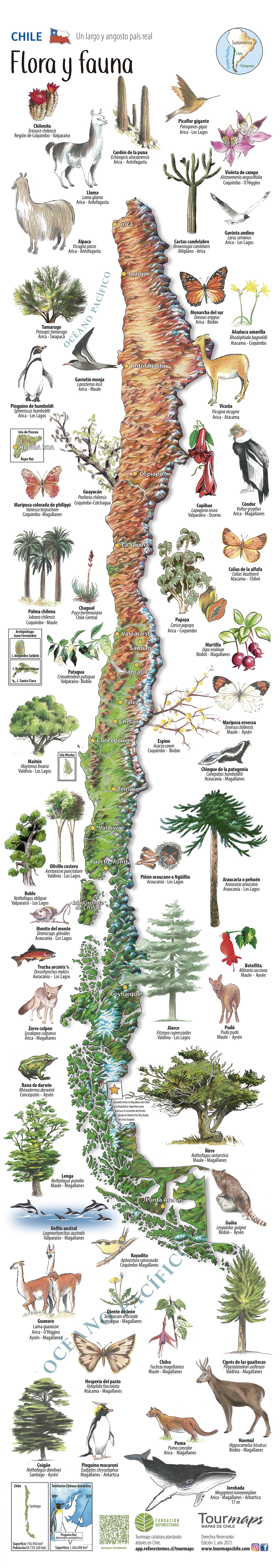 FLORA Y FAUNA - MAPA DESPLEGABLE – TOURMAPS Mapas Educativos Ilustrados ...