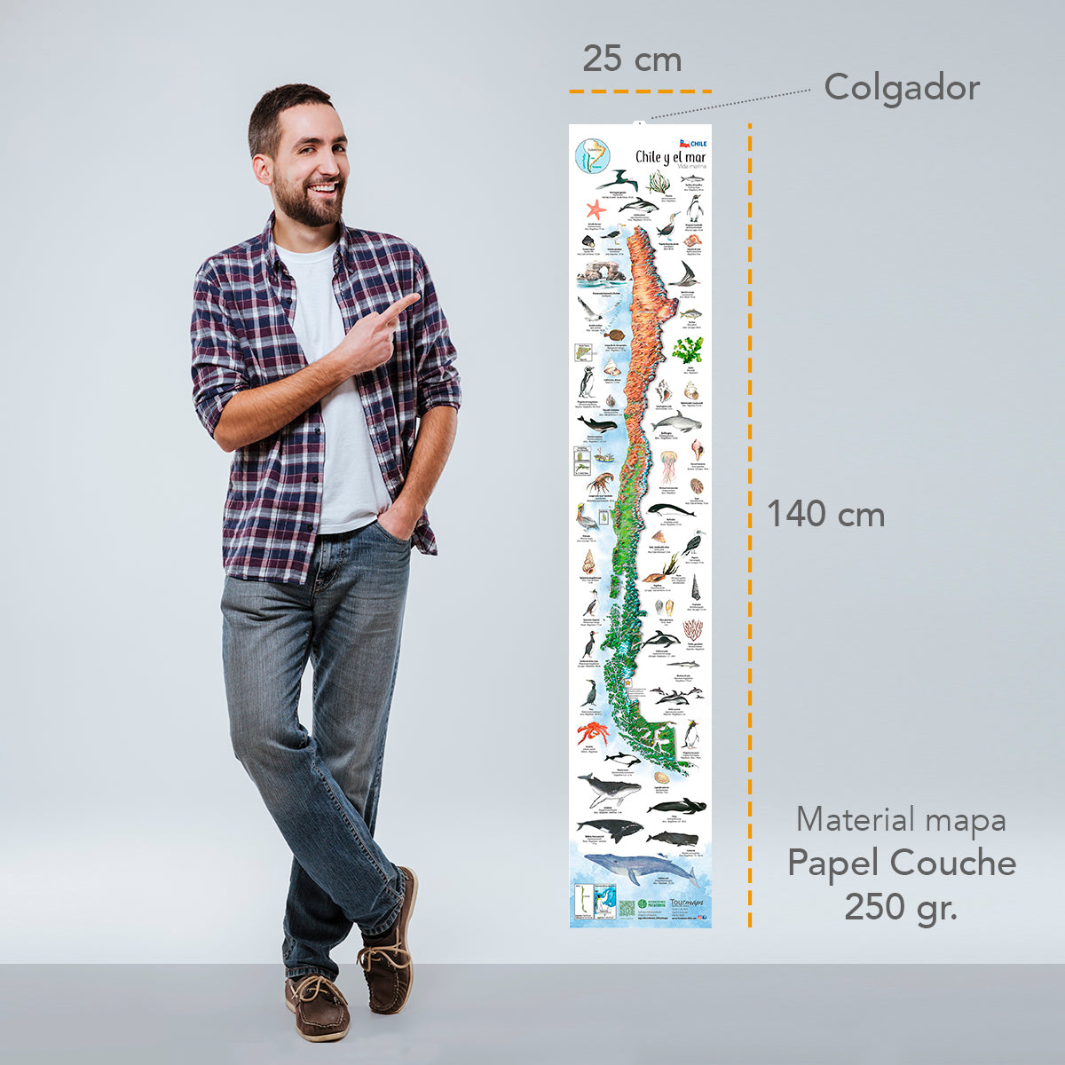 3 MAPAS ILUSTRADOS - COLECCIÓN PATAGONIA