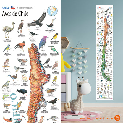 AVES DE CHILE - MAPA DESPLEGABLE